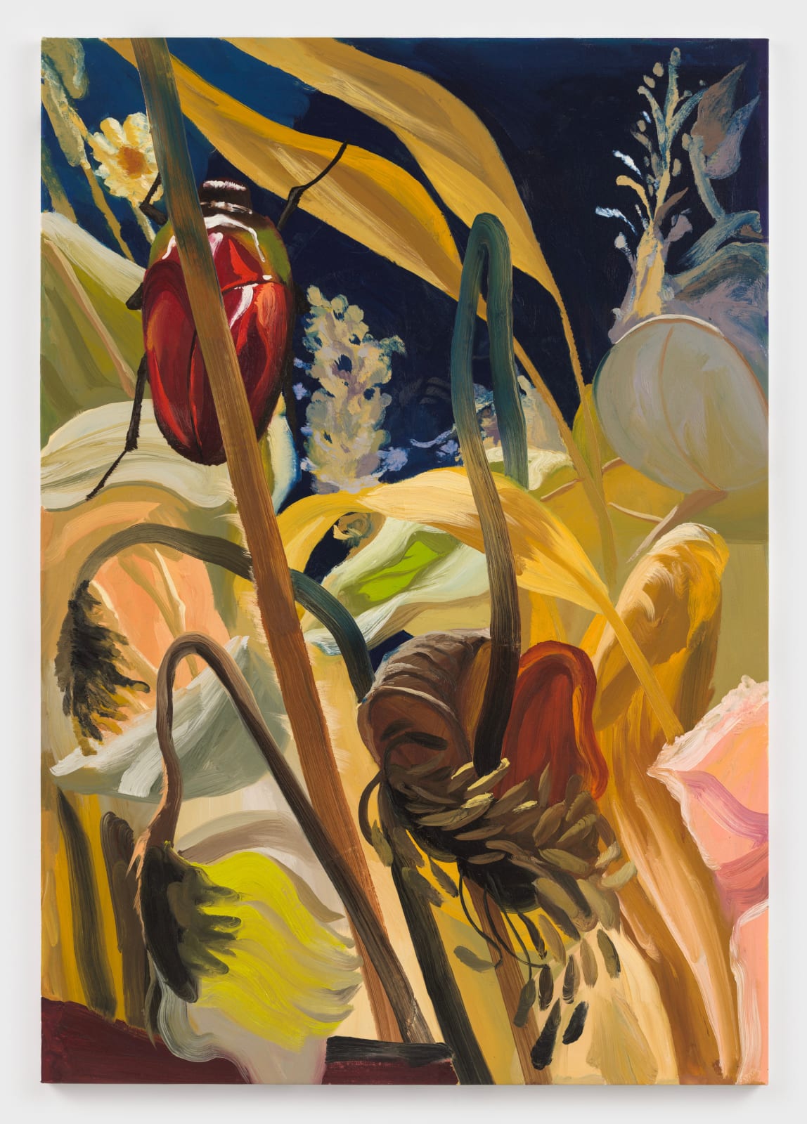 Gerald Davis, Dried Poppies and Red Scarab, 2023