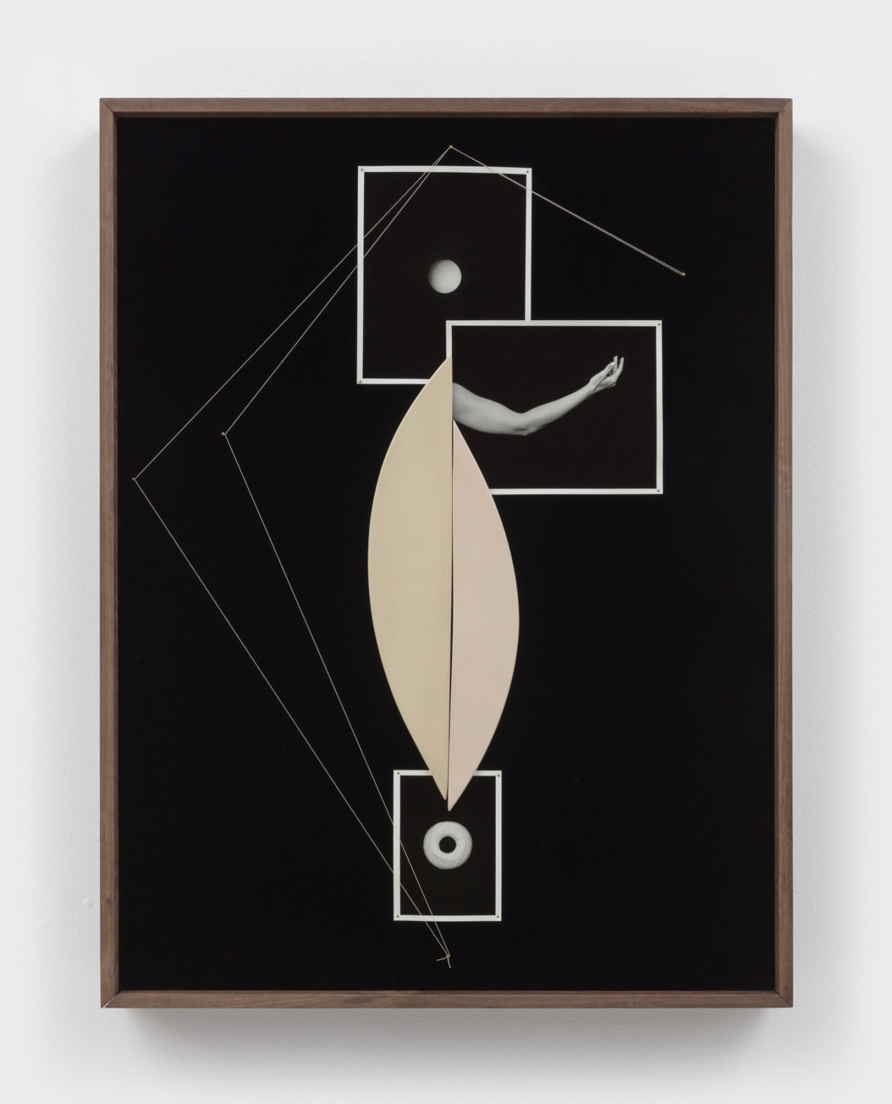Sheree Hovsepian, Pastiche, 2022