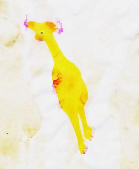Sara Greenberger Rafferty, Chicken, 2009