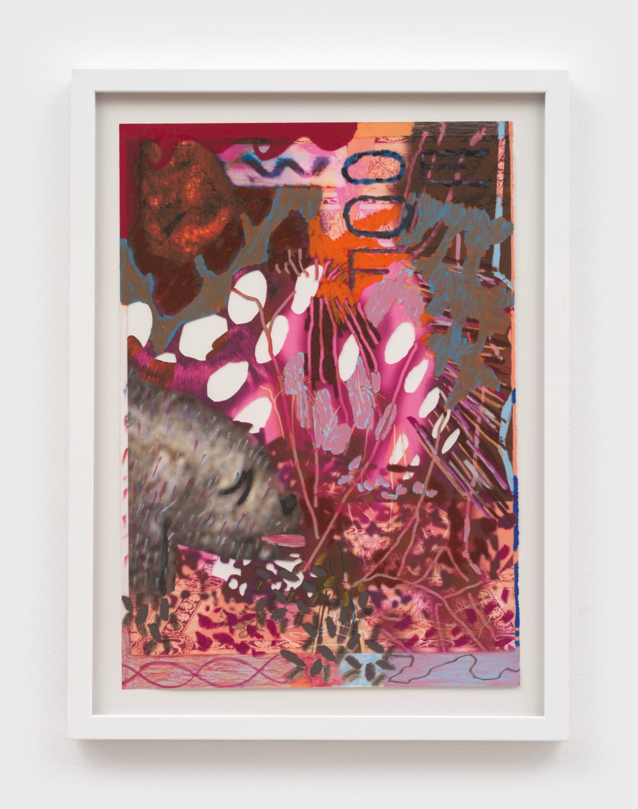 Gaby Collins-Fernandez, Art for Pets, 2024