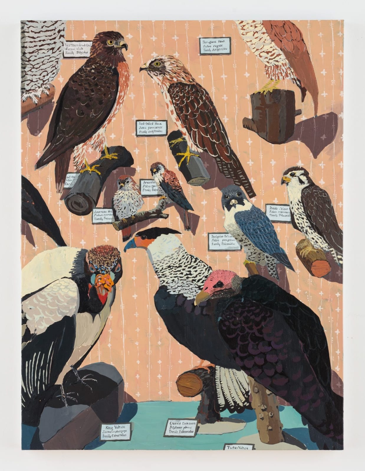 Hilary Pecis, Raptors, 2018