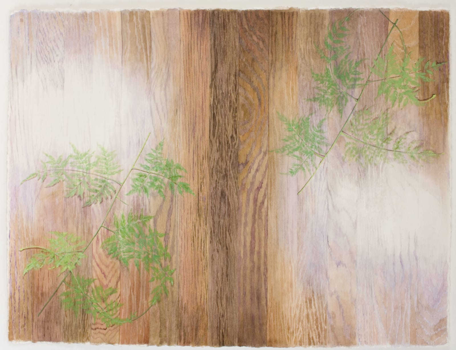 Mamie Tinkler, Double Fern Flash, 2011