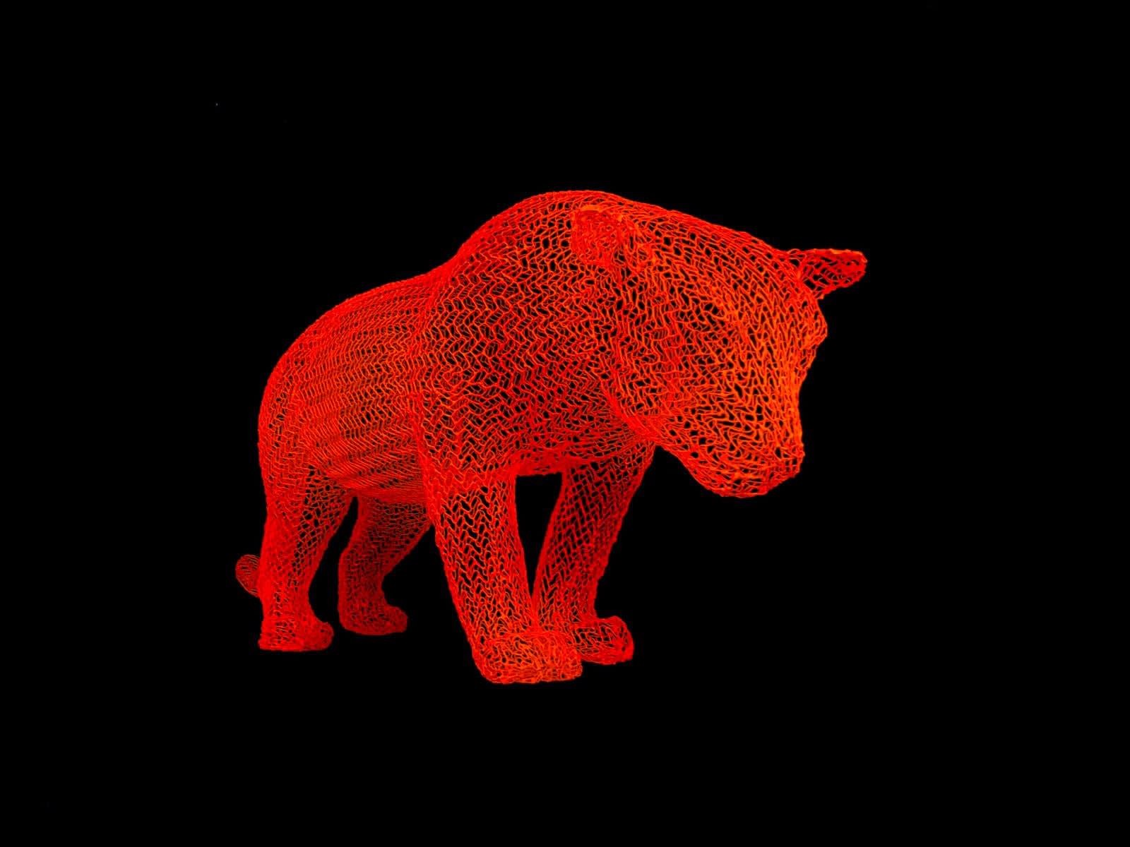 Eka Acosta, Orange Cat