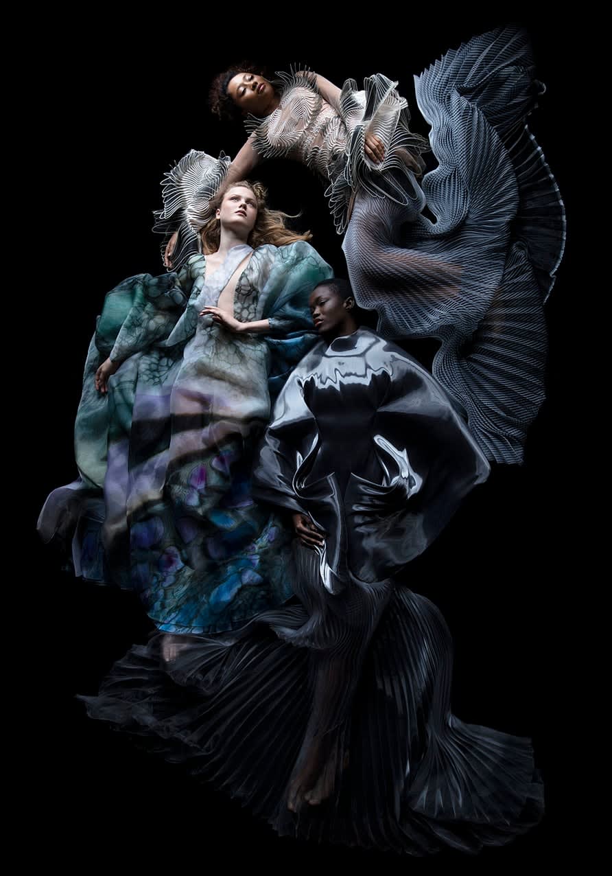 Carla van de Puttelaar, Synergia Serie - VIII / S
