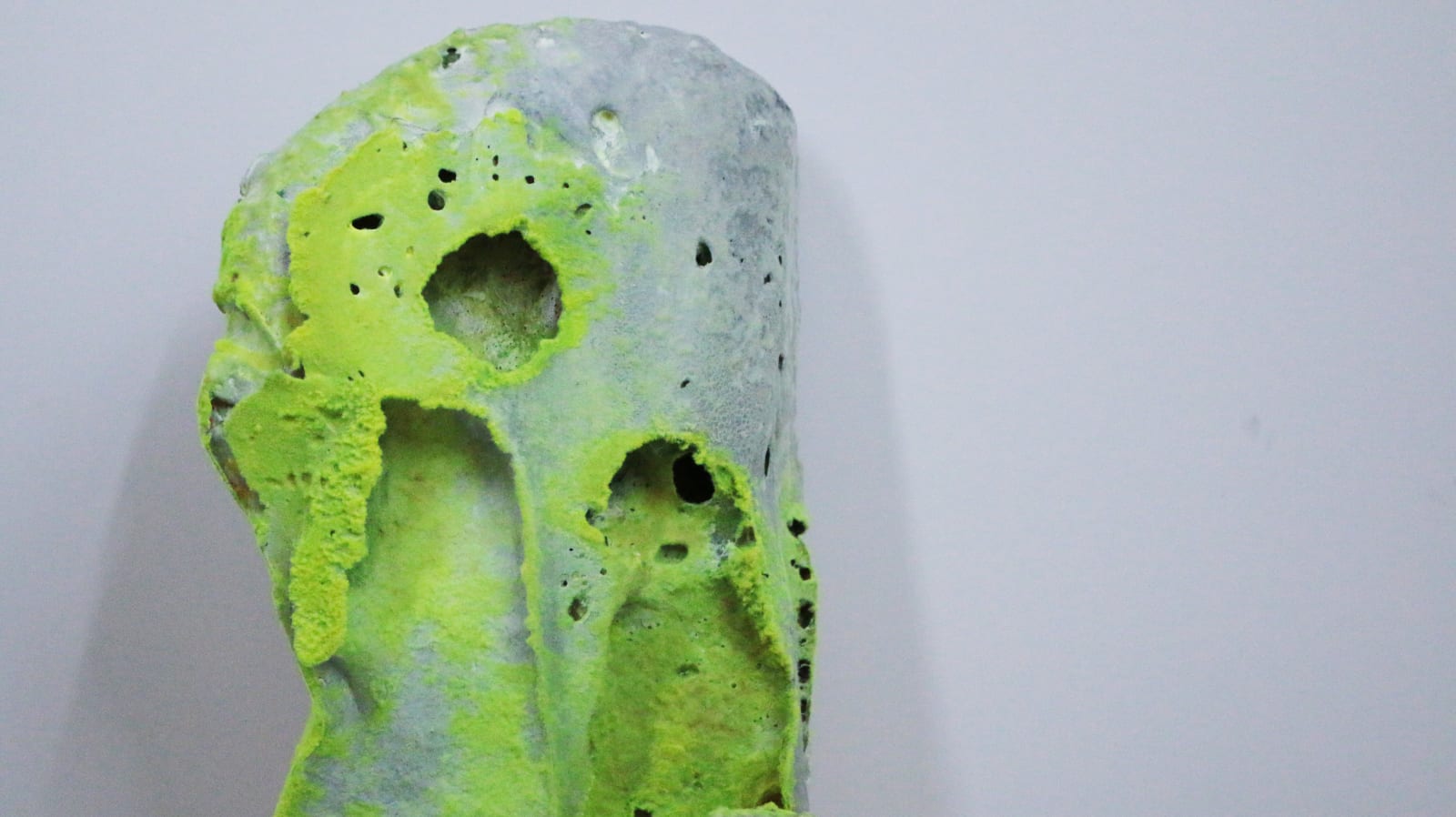 Pedro Matias, Porites Coralia