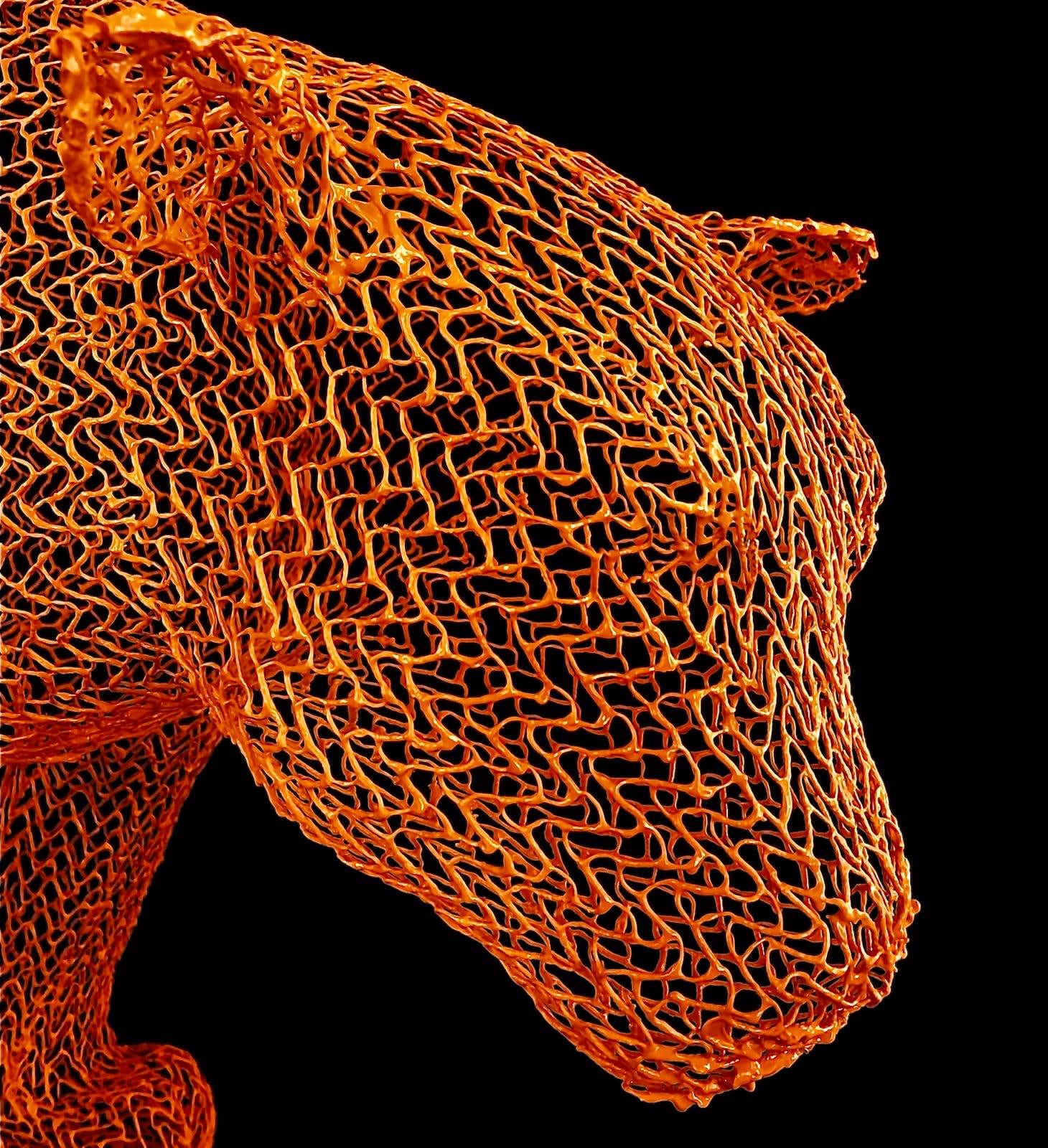 Eka Acosta, Orange Cat