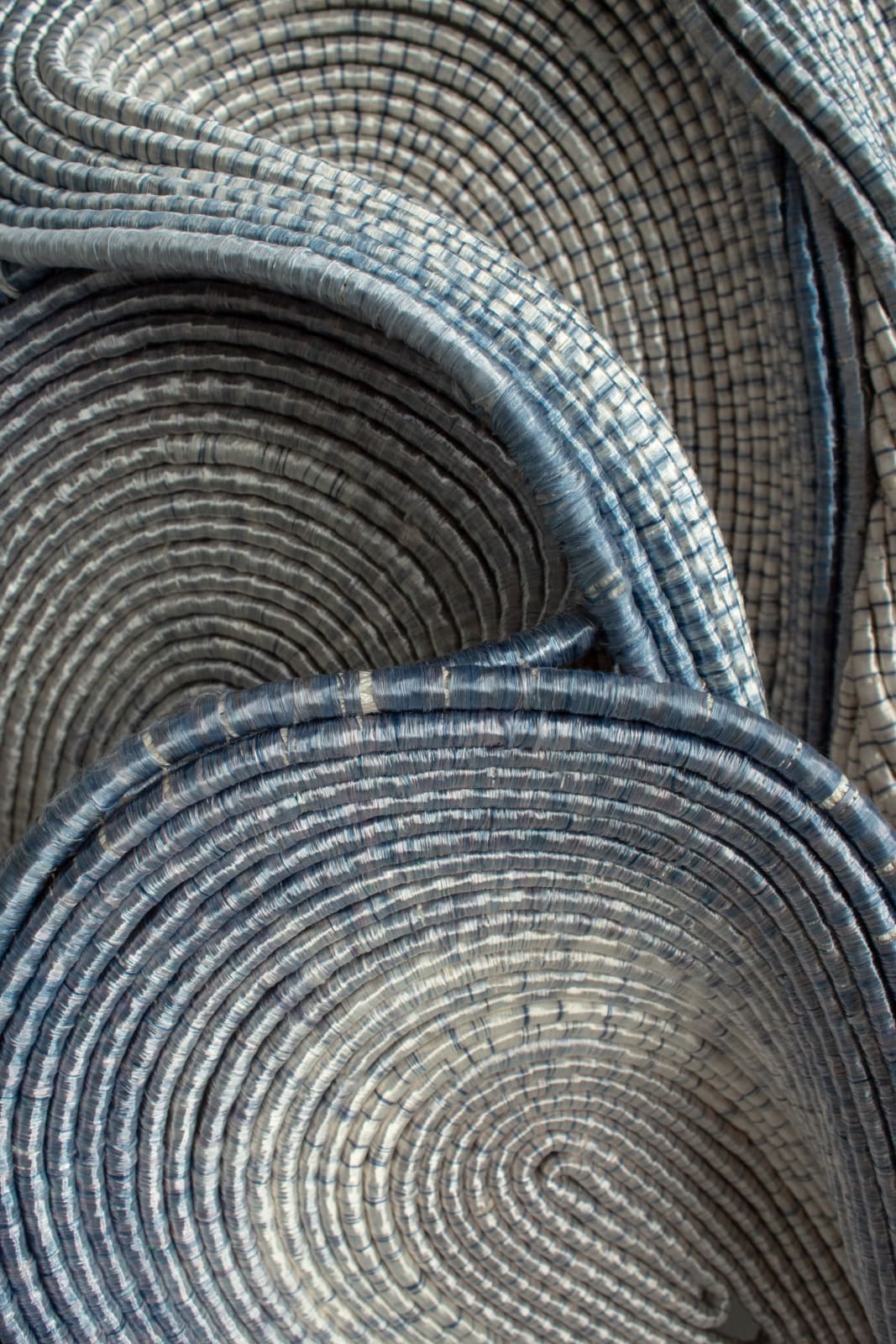 Joana Schneider, Blue Sea Orchid