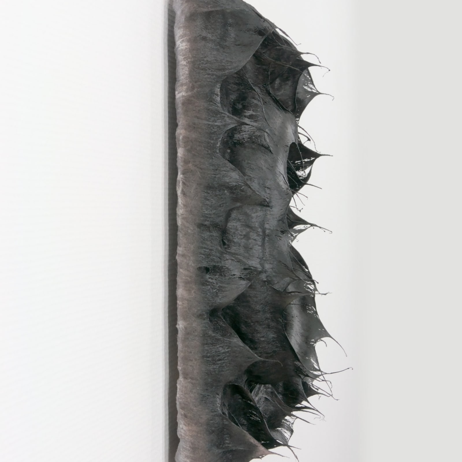 Coen Derickx, Black Circle