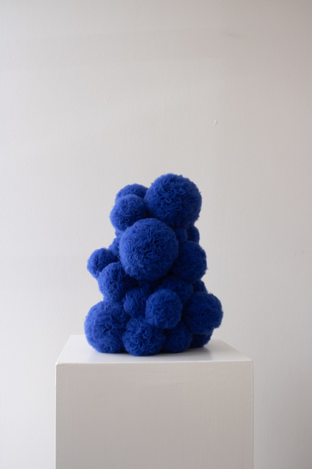 Sofie Aaldering, Mons