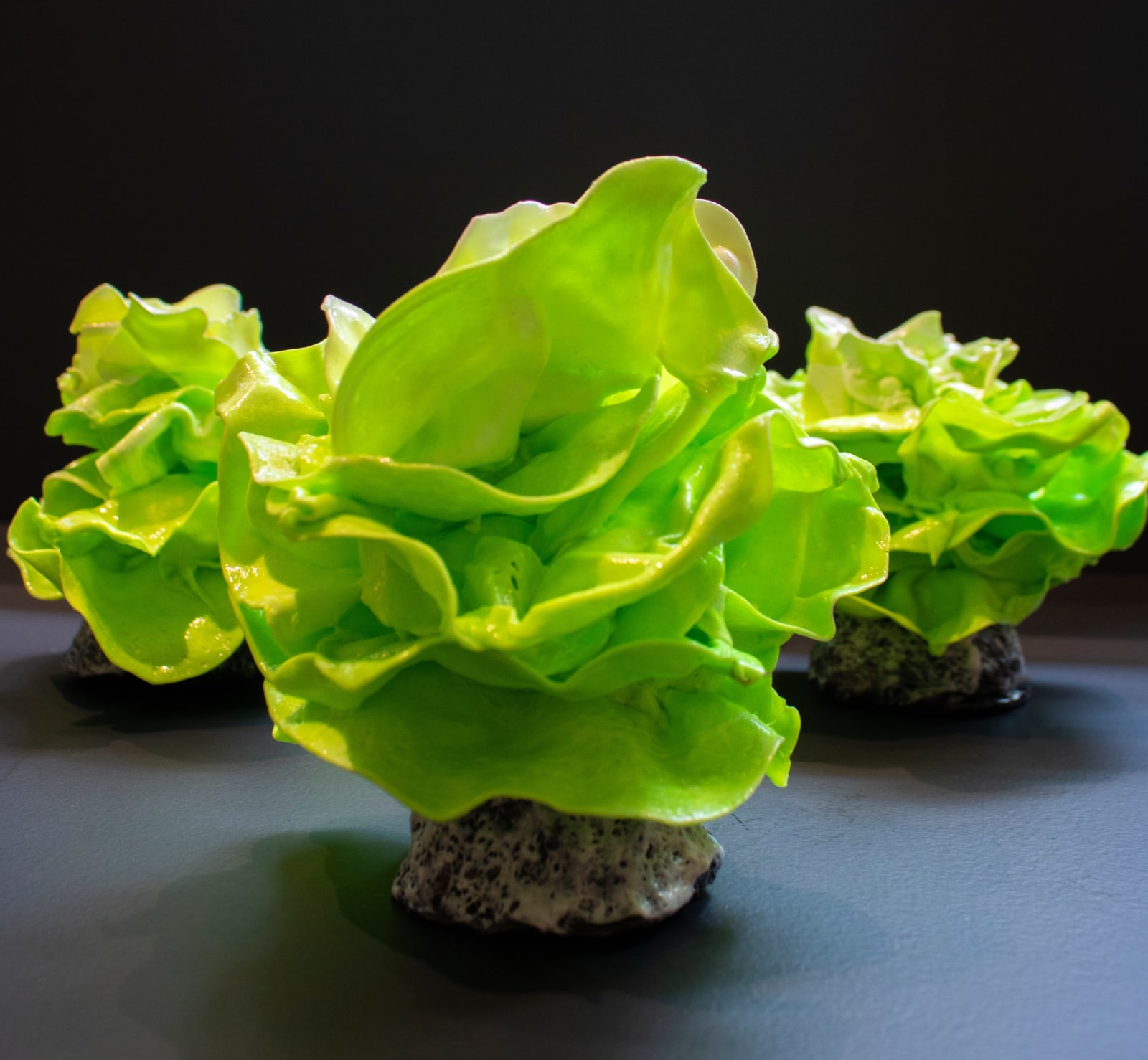 Stefan Gross, EDITIONS - Mini Salad, 2020