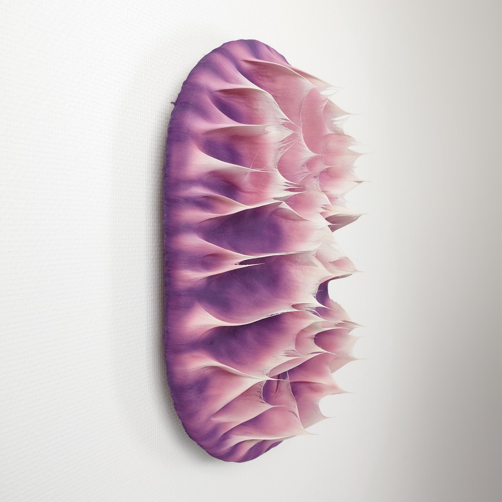 Coen Derickx, Purple and Pink number 6