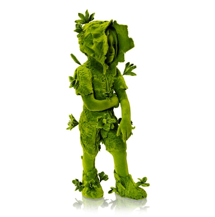 Kim Simonsson, Standing Cabbage Biologist