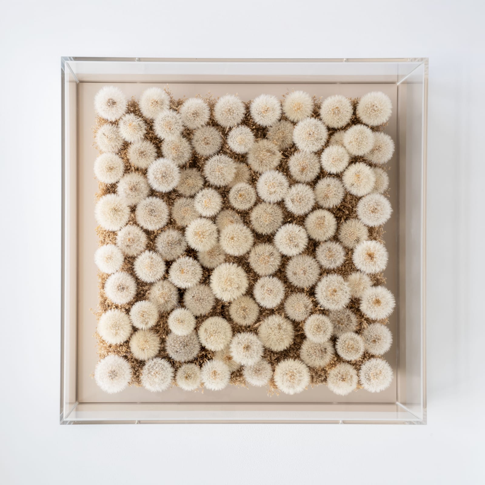 Hilde Trip, Make a wish, 2025