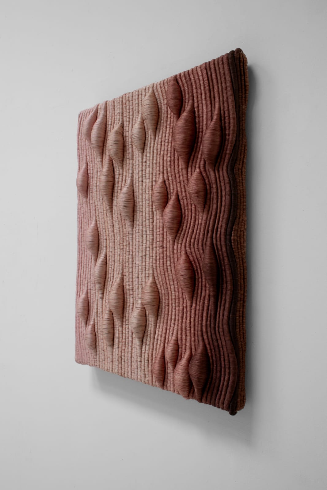 Joana Schneider, Rosewater