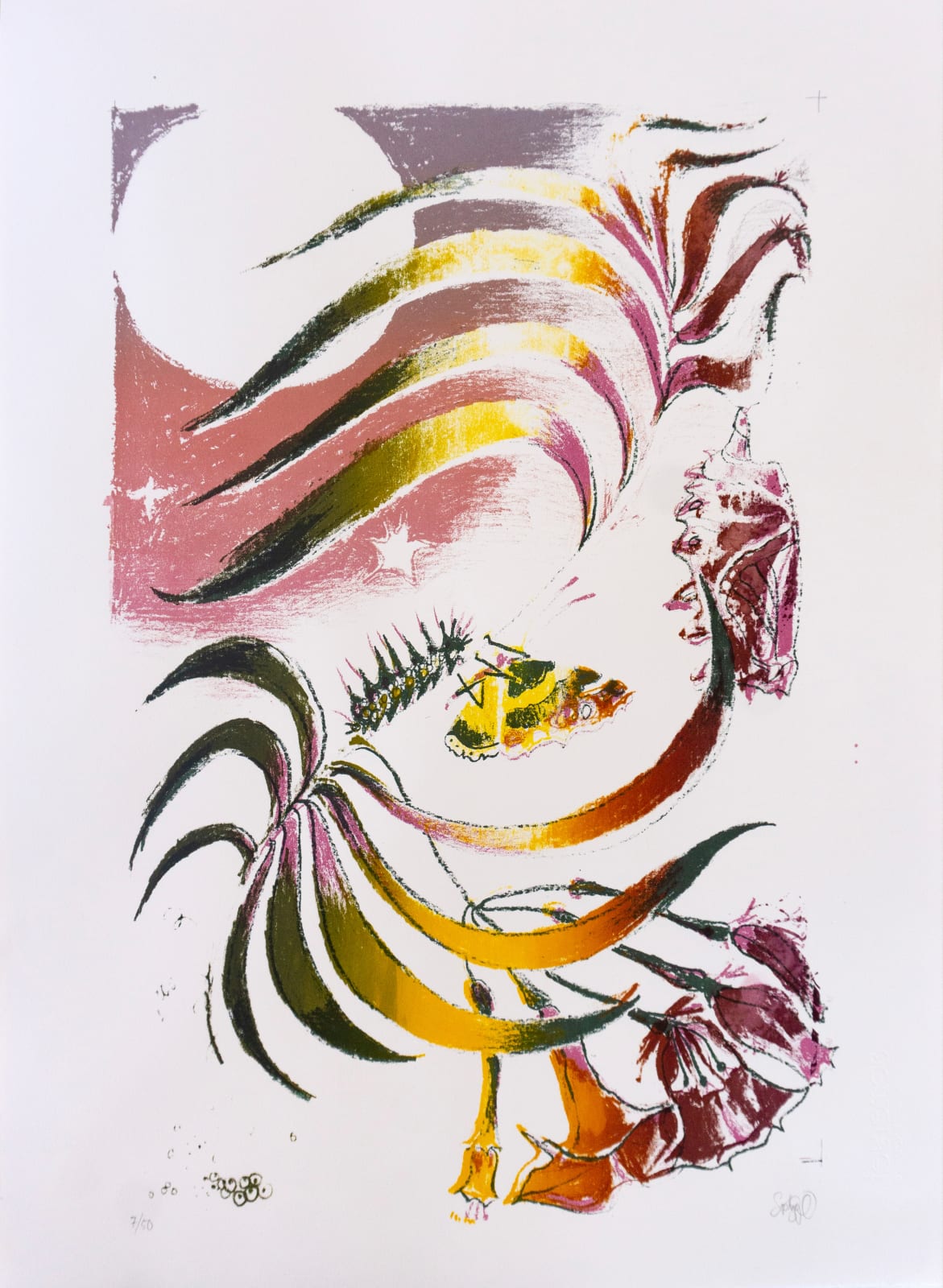 Sophie Steengracht, EDITIONS - Transfigure, 2020