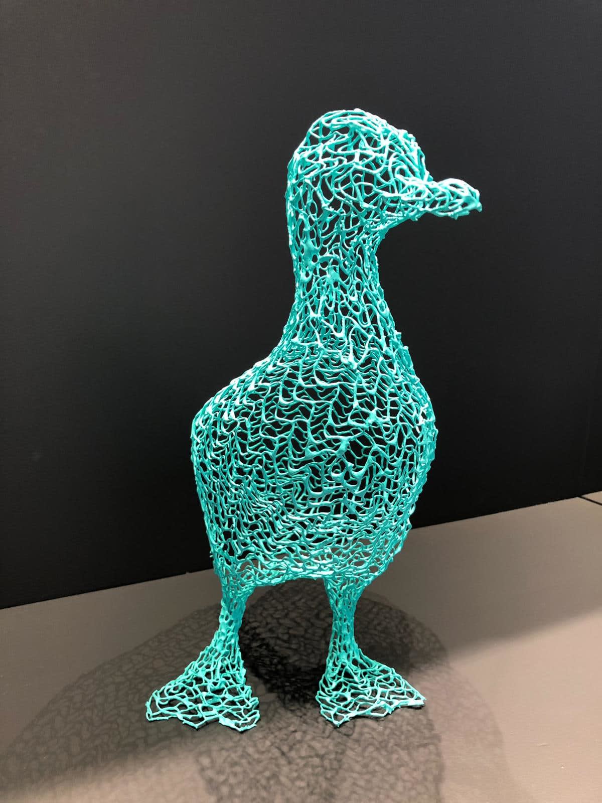 Eka Acosta, Duck