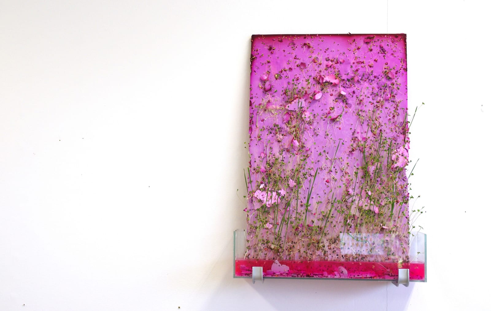 Esther Hoogendijk, Two kinds of pink + green