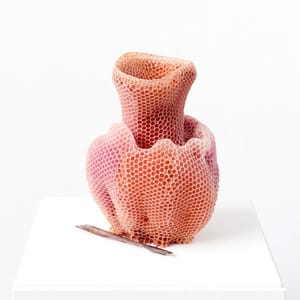 Tomáš Libertíny, The Honeycomb Vase - Red