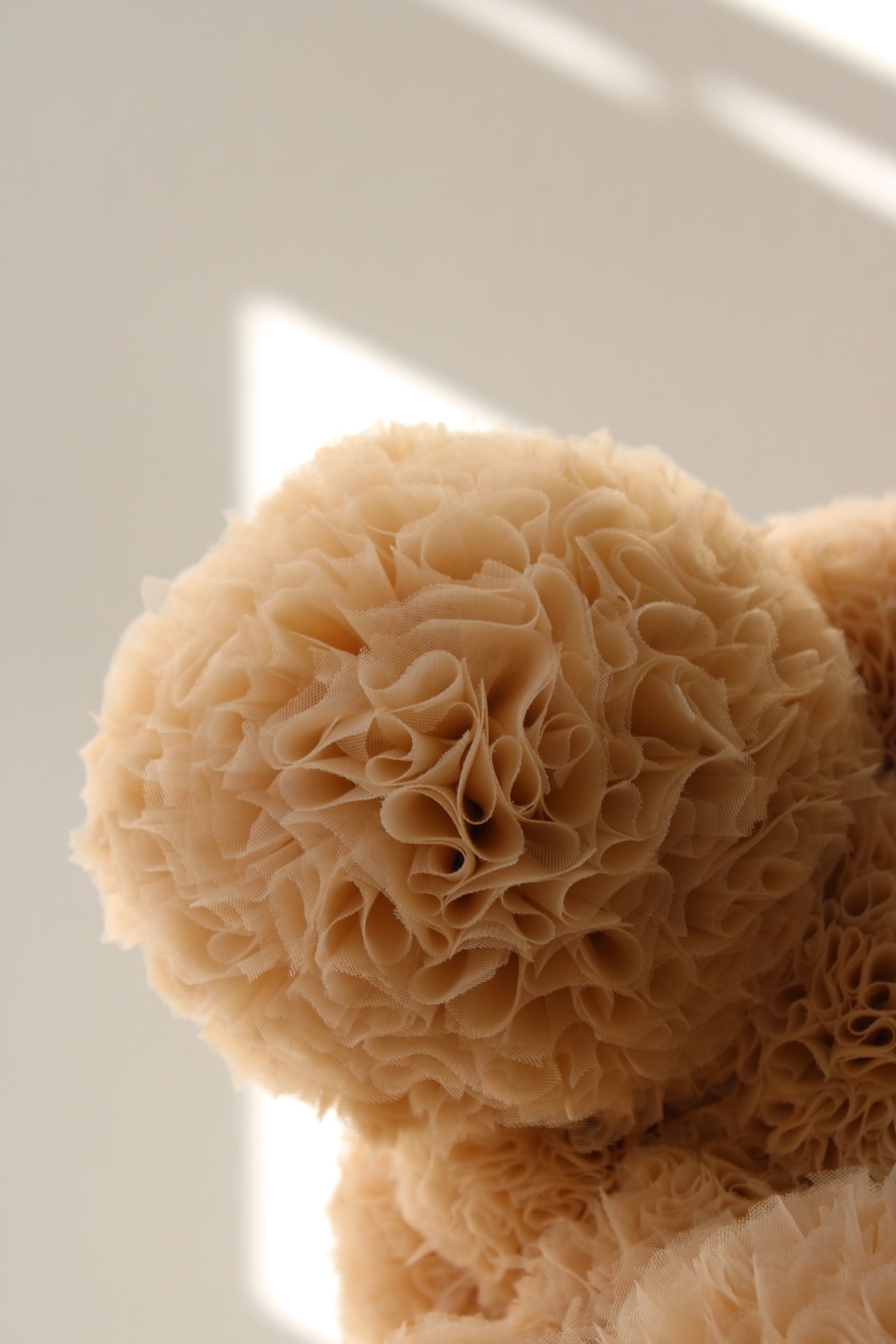 Sofie Aaldering, Montanum