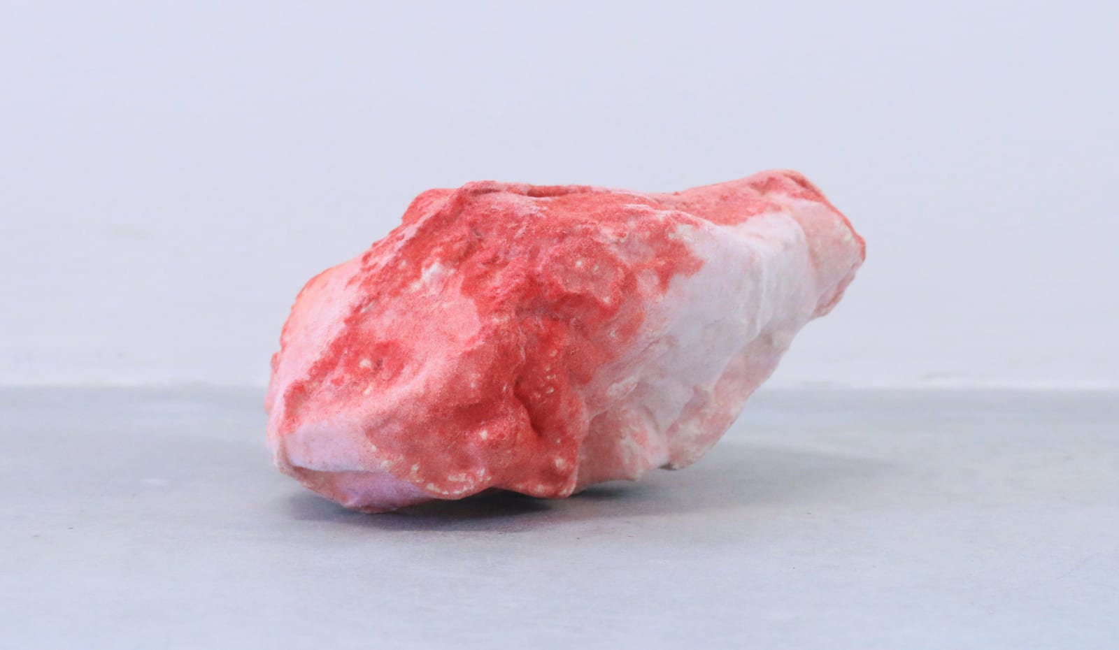 Pedro Matias, Ruby Alcyonacea Callicle I