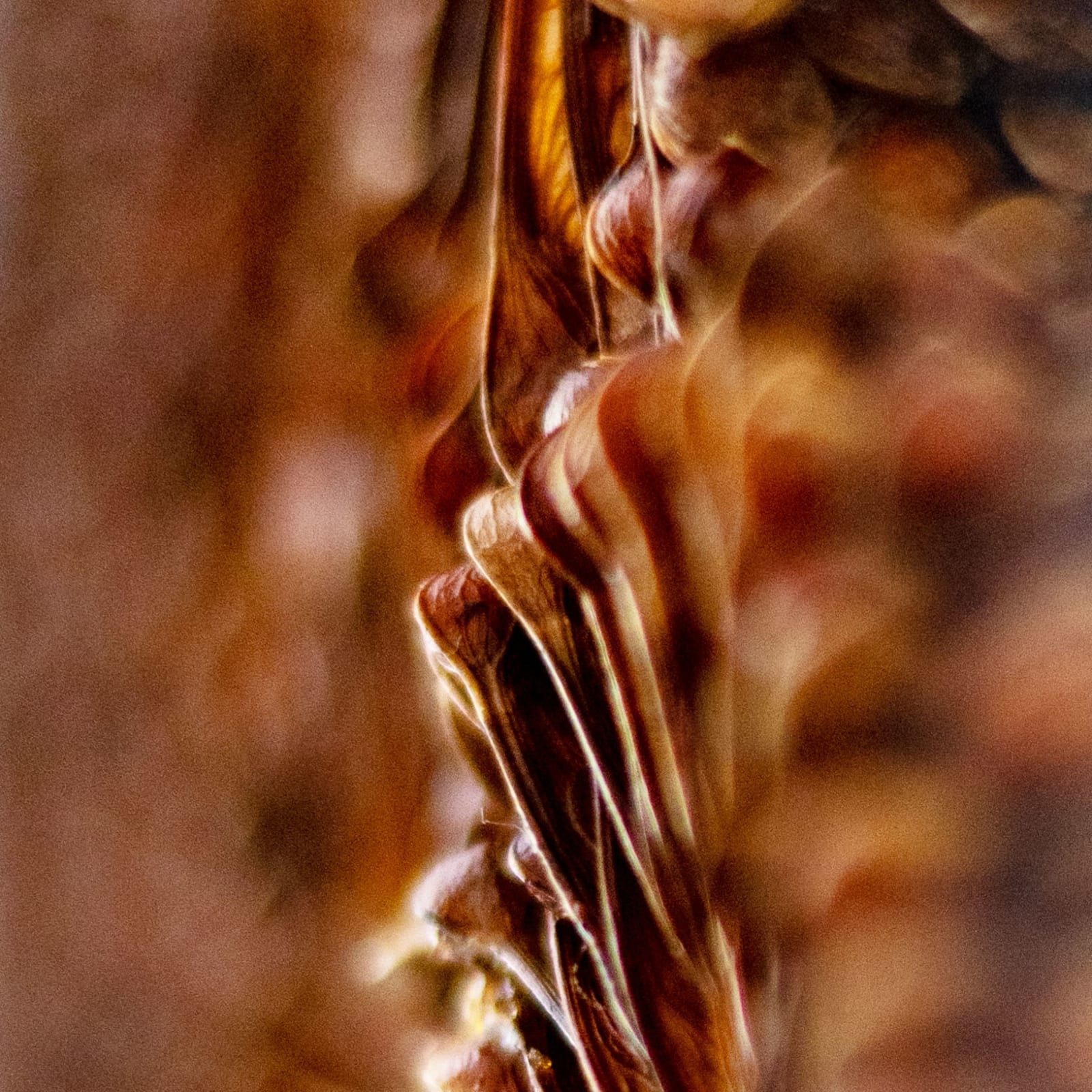 Hilde Trip, Radar Love, 2025