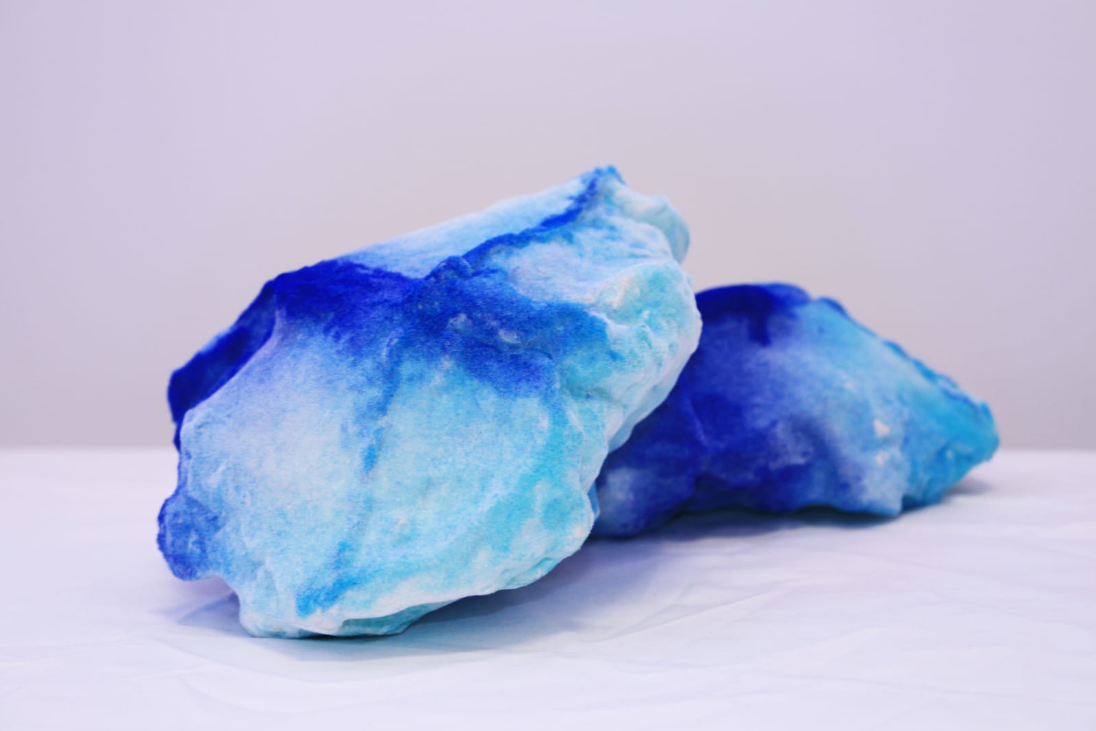 Pedro Matias, Blue Stylophora Callicle