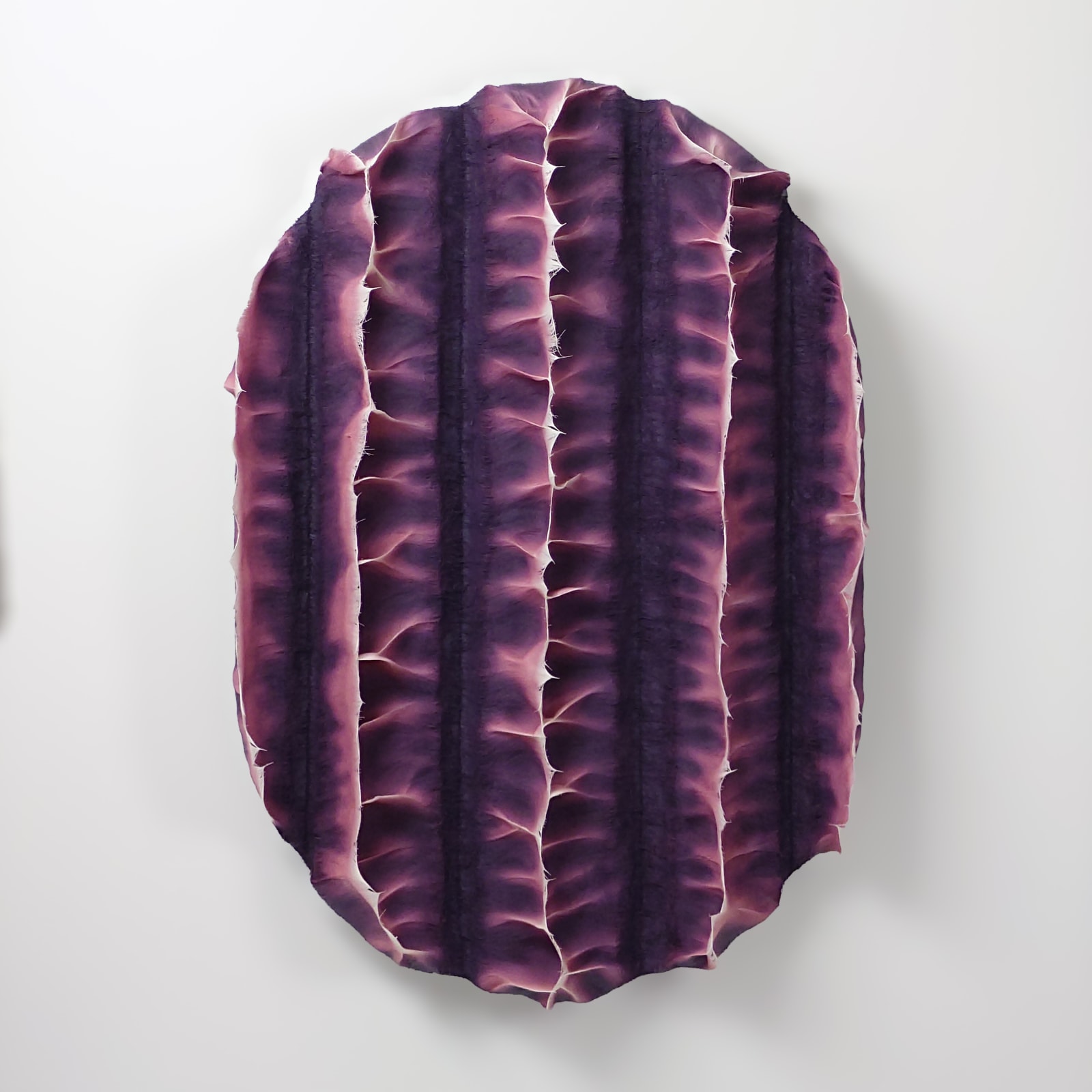 Coen Derickx, Purple and Pink number 3