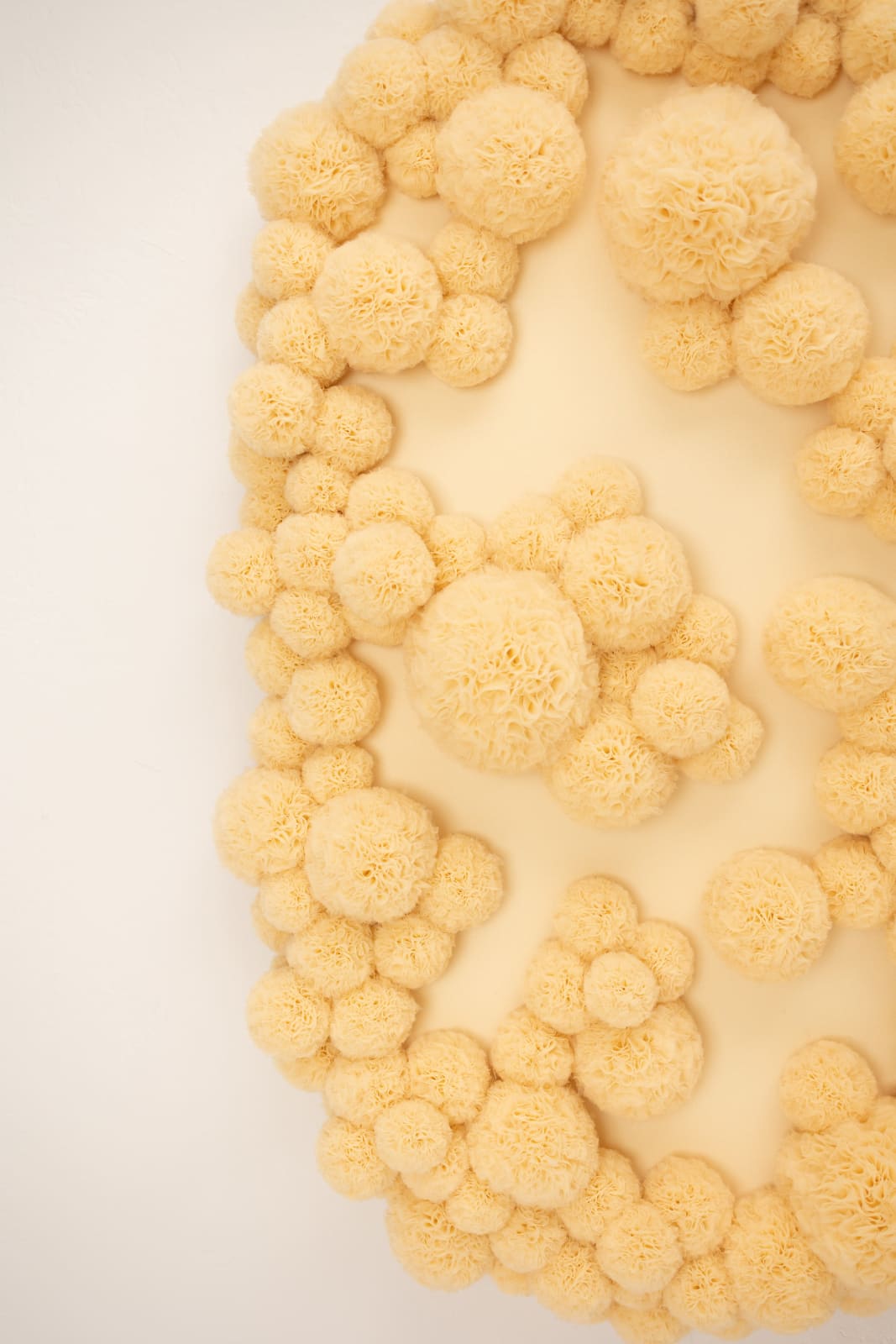 Sofie Aaldering, Sandhills