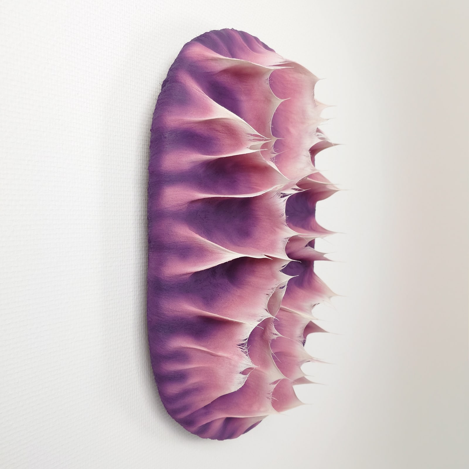 Coen Derickx, Purple and Pink number 5