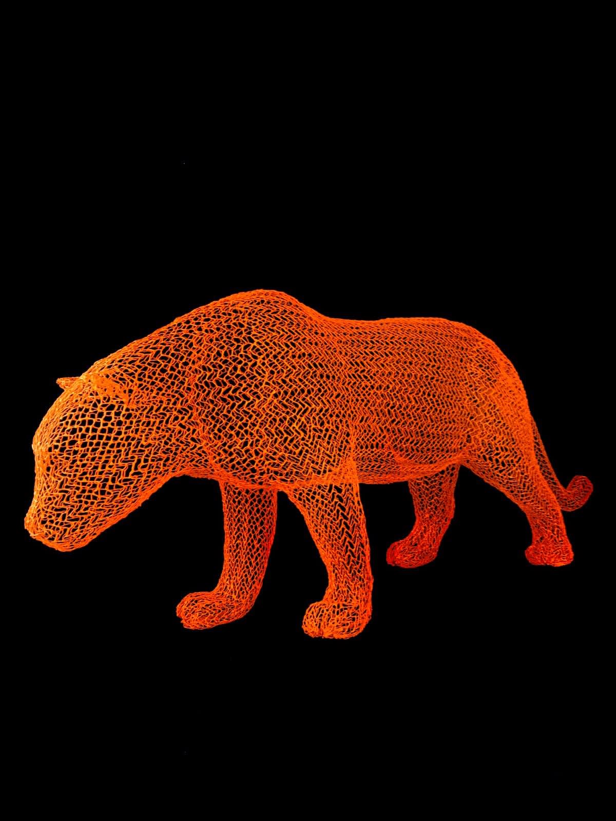 Eka Acosta, Orange Cat