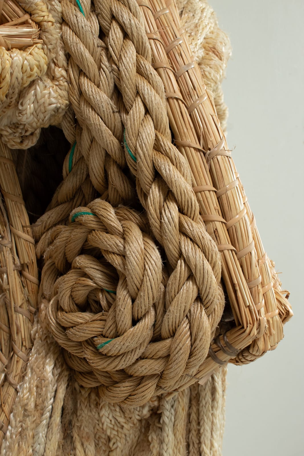 Joana Schneider, Farmboy