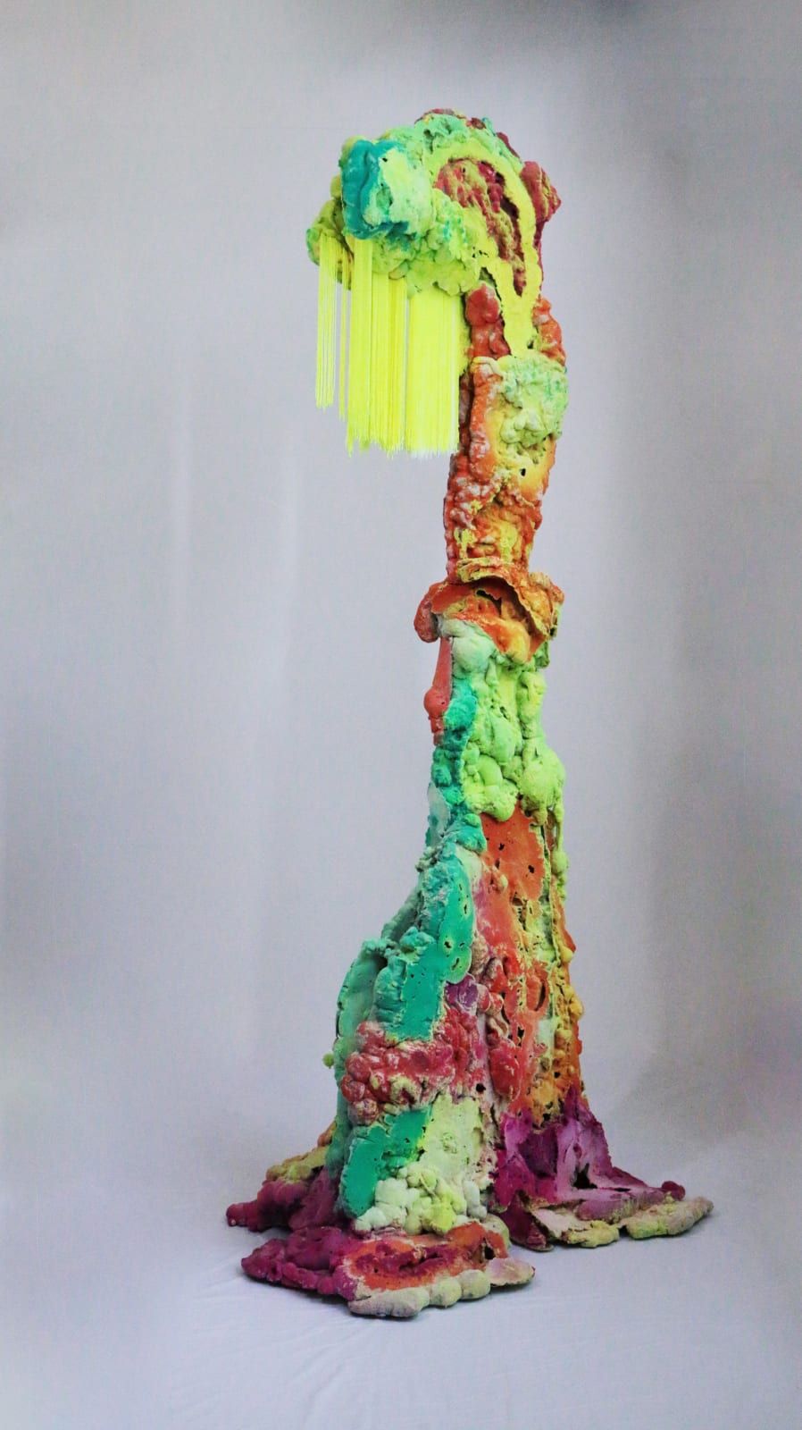 Pedro Matias, Tubipora Coralia