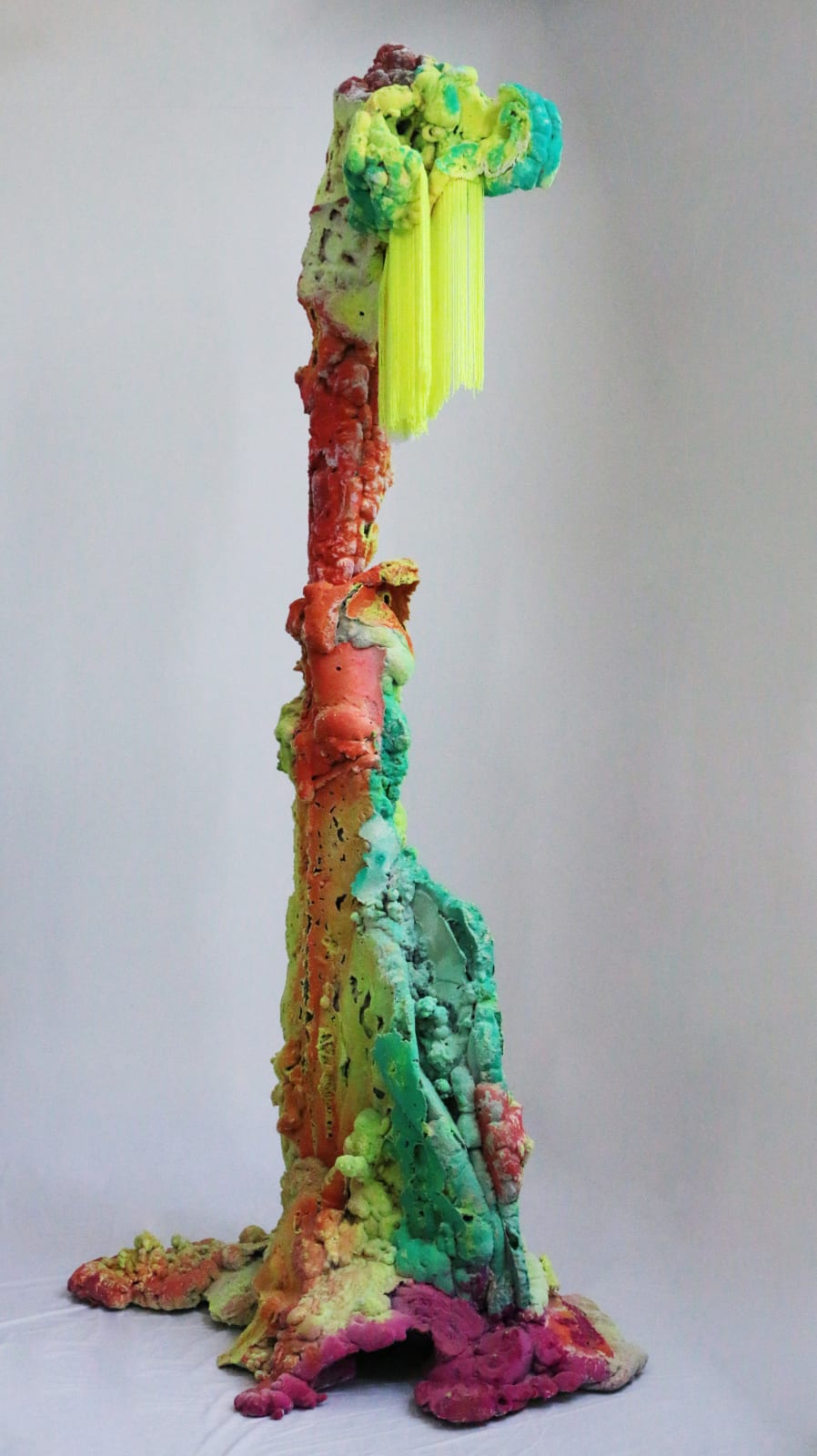 Pedro Matias, Tubipora Coralia