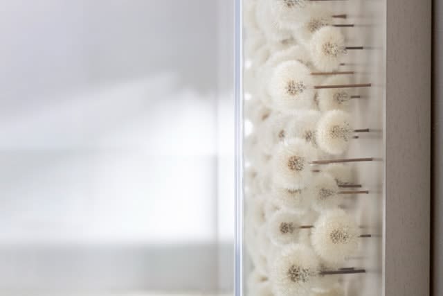 Hilde Trip, Wishful thinking