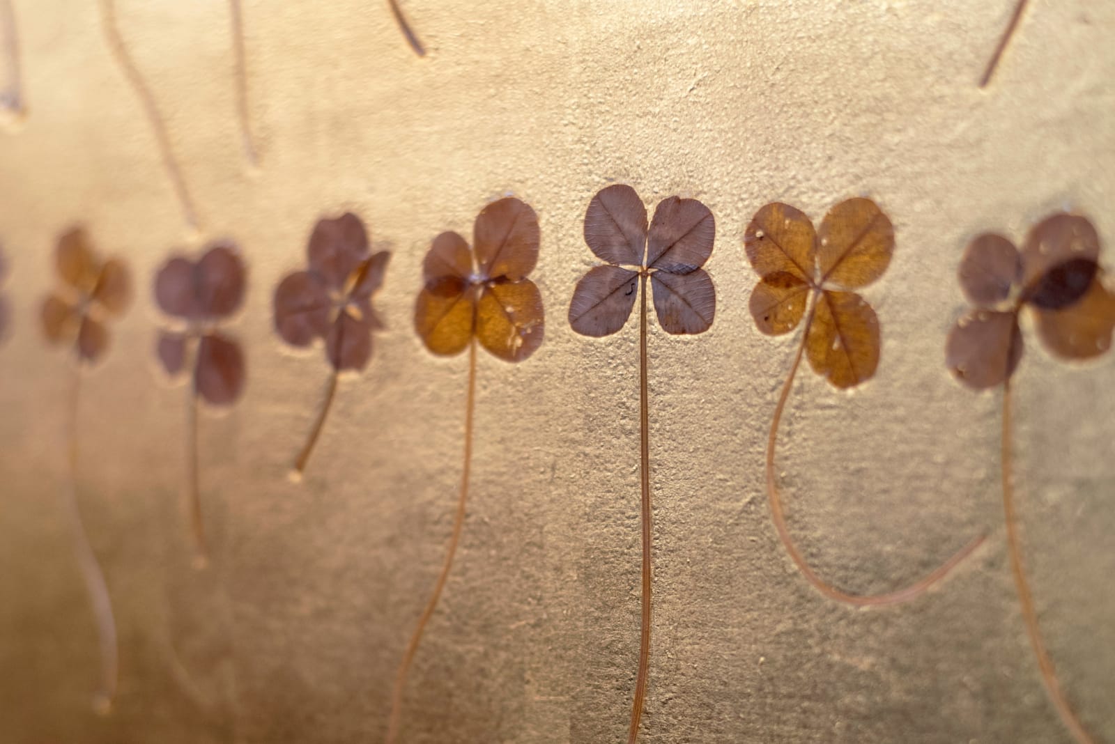 Hilde Trip, Lucky Lines (4 leaf clovers), 2025