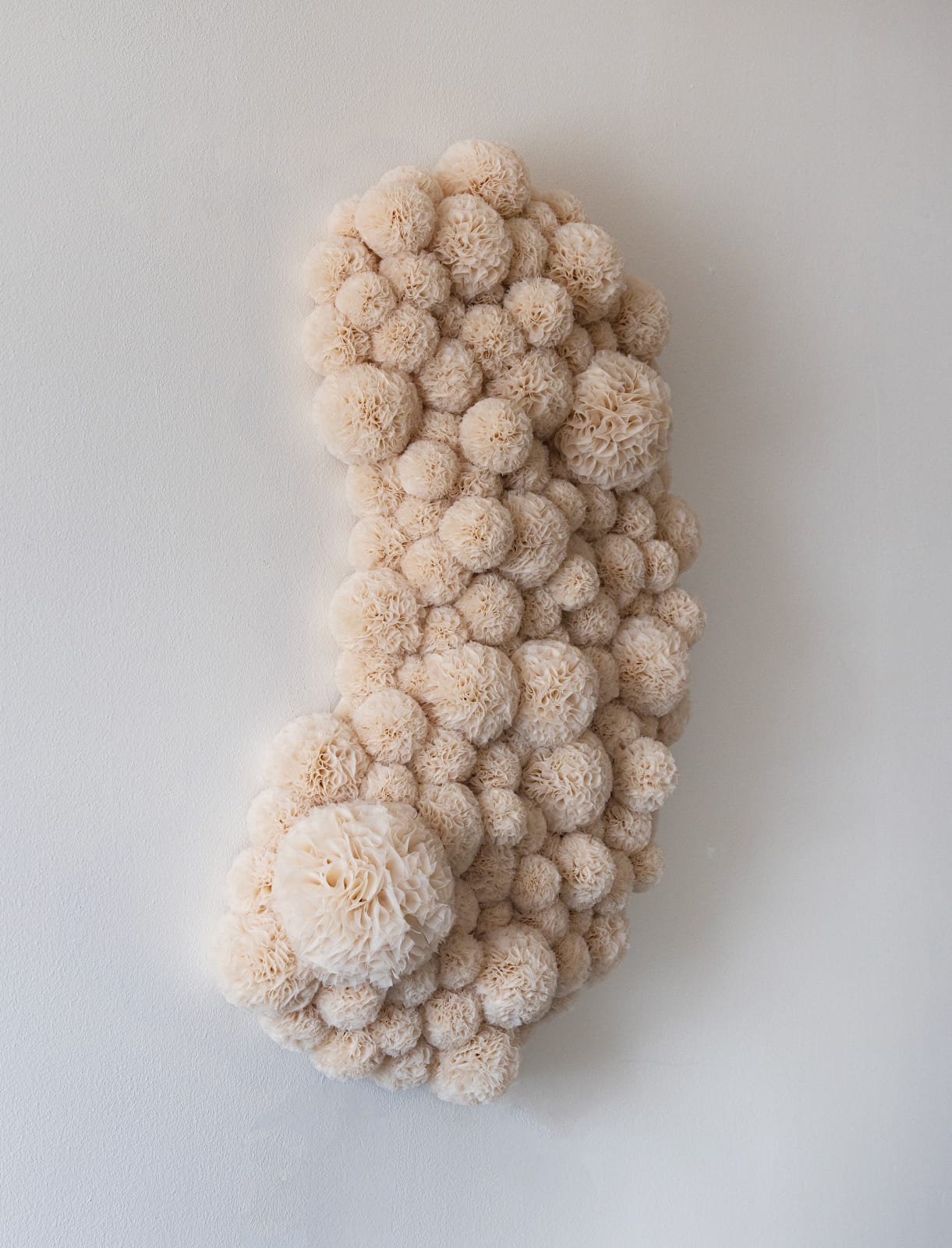 Sofie Aaldering, Soft