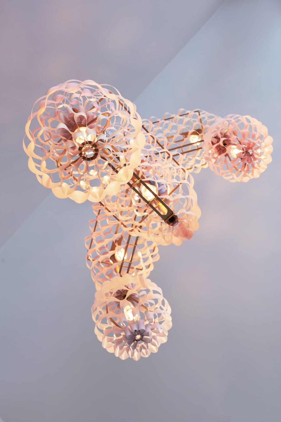 Grietje Schepers, Ellipt #001