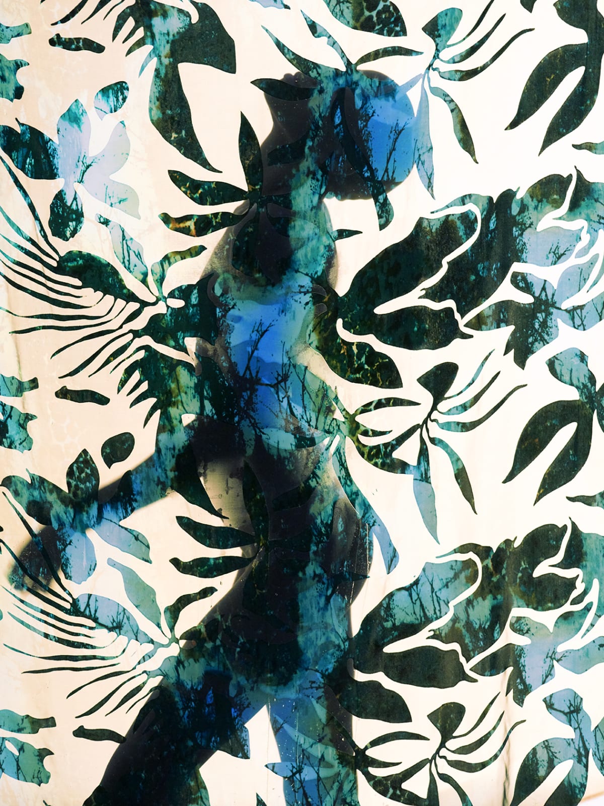 Carli Hermès, Distortion - Canopy