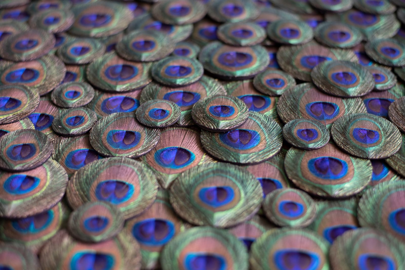 Hilde Trip, Watch me