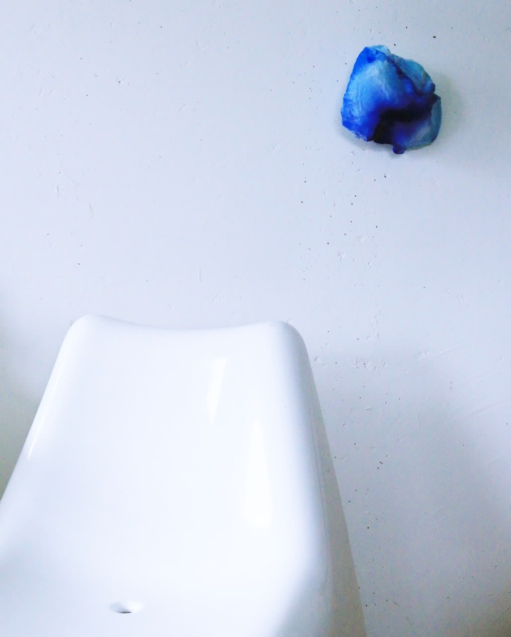 Pedro Matias, Blue Stylophora Callicle