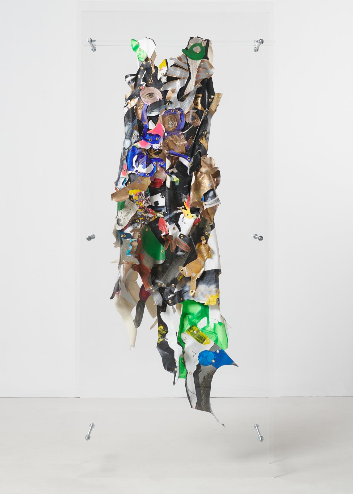 Ronald van der Kemp, The Painted Disorder
