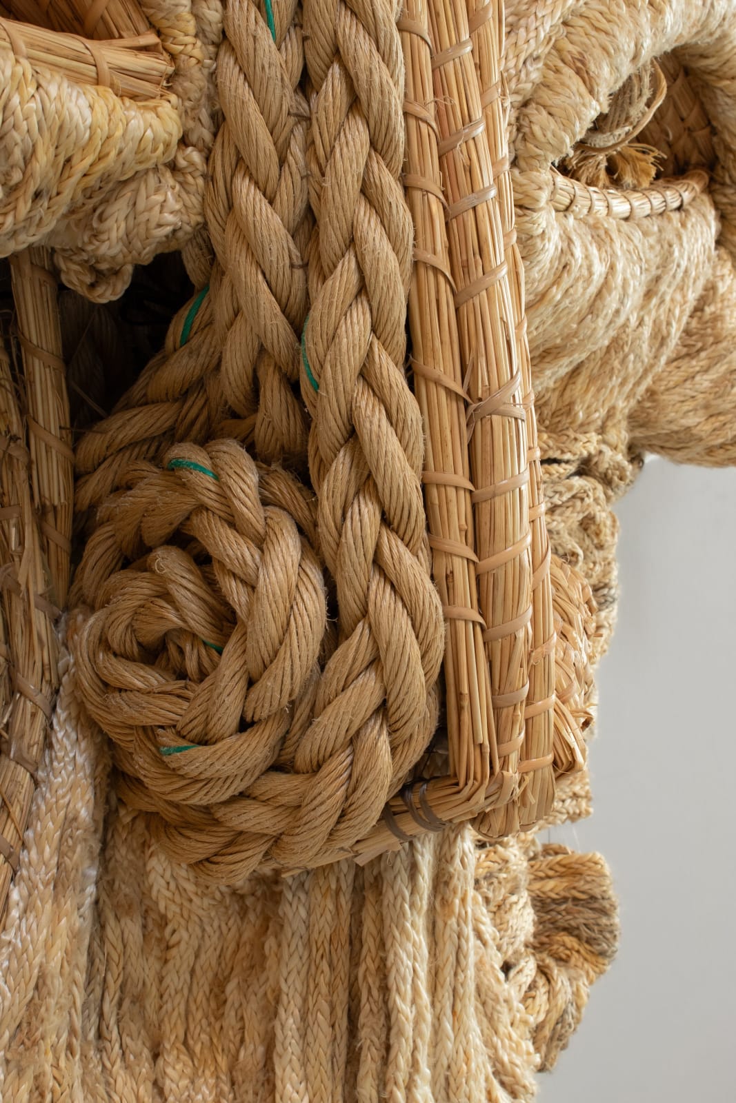 Joana Schneider, Farmboy