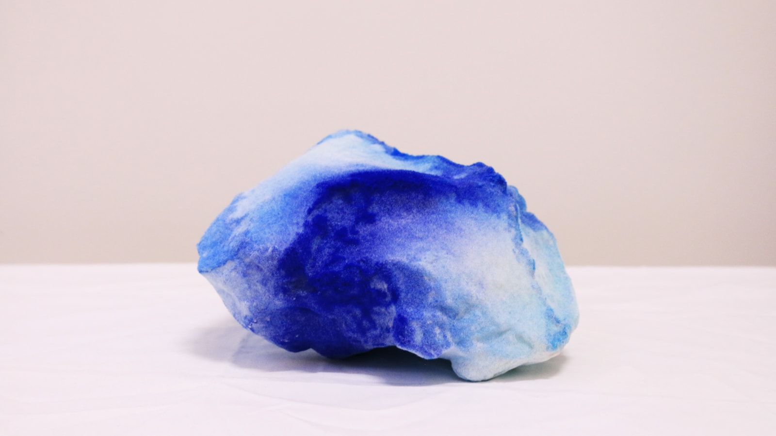 Pedro Matias, Blue Stylophora Callicle