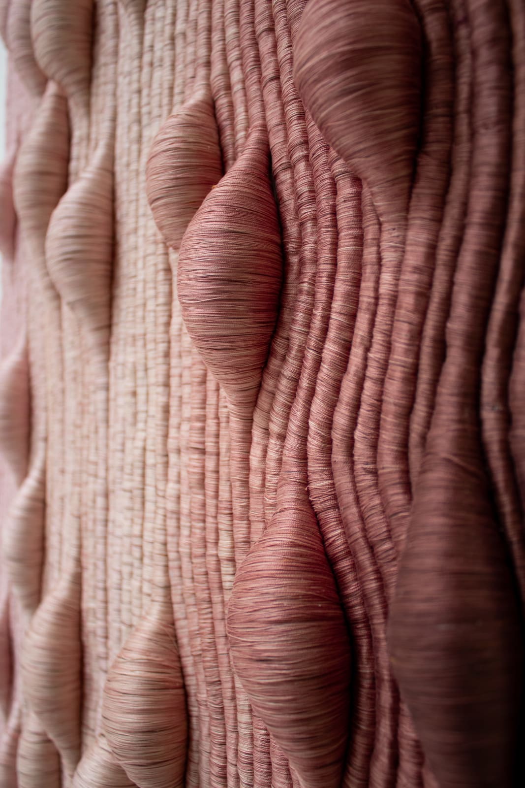 Joana Schneider, Rosewater