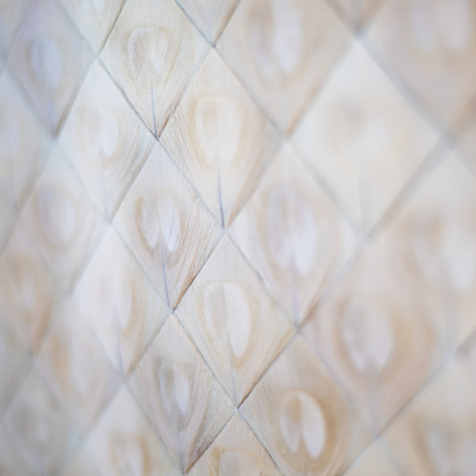 Hilde Trip, A bright look