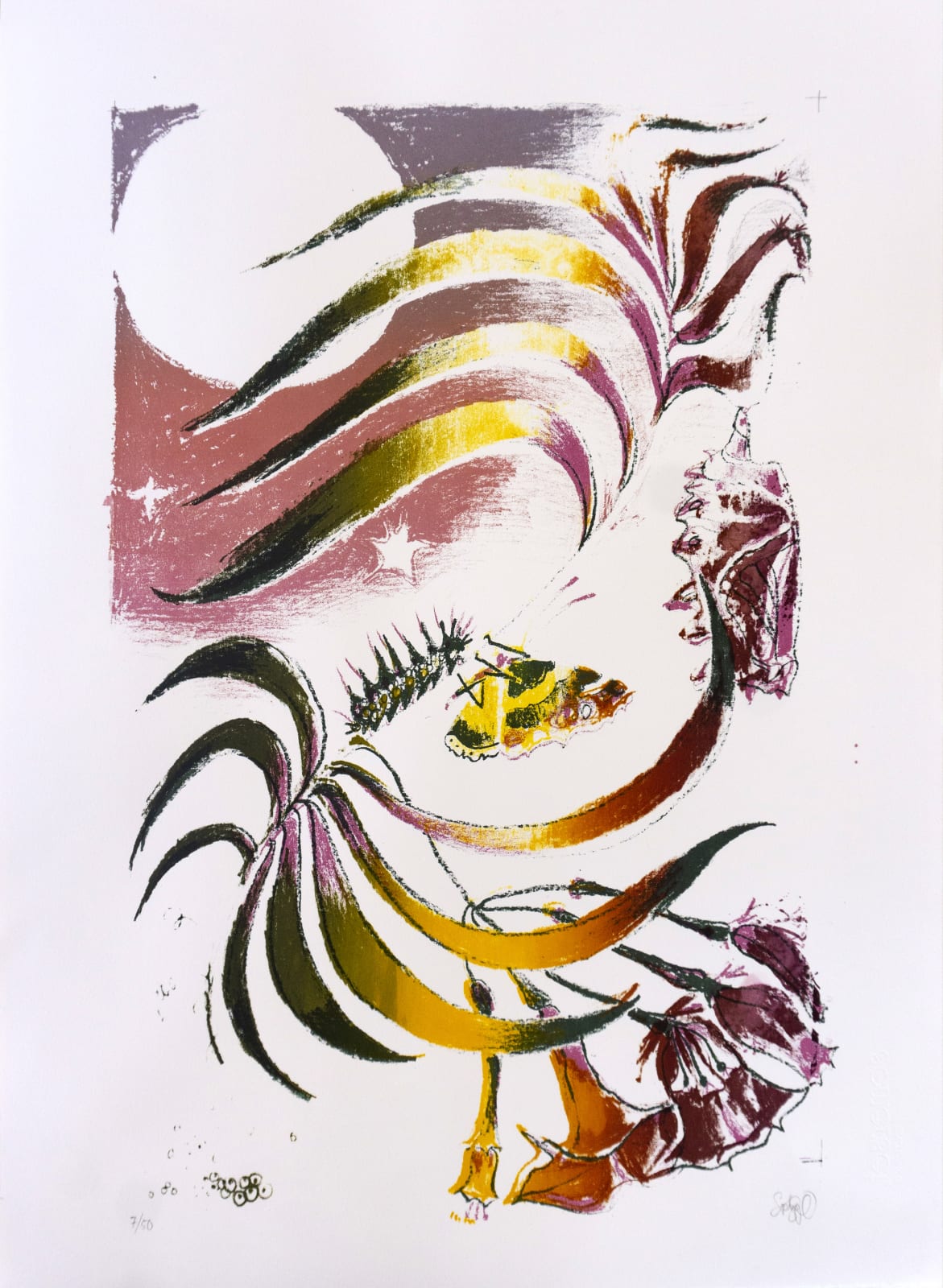 Sophie Steengracht, EDITIONS - Transfigure, 2020