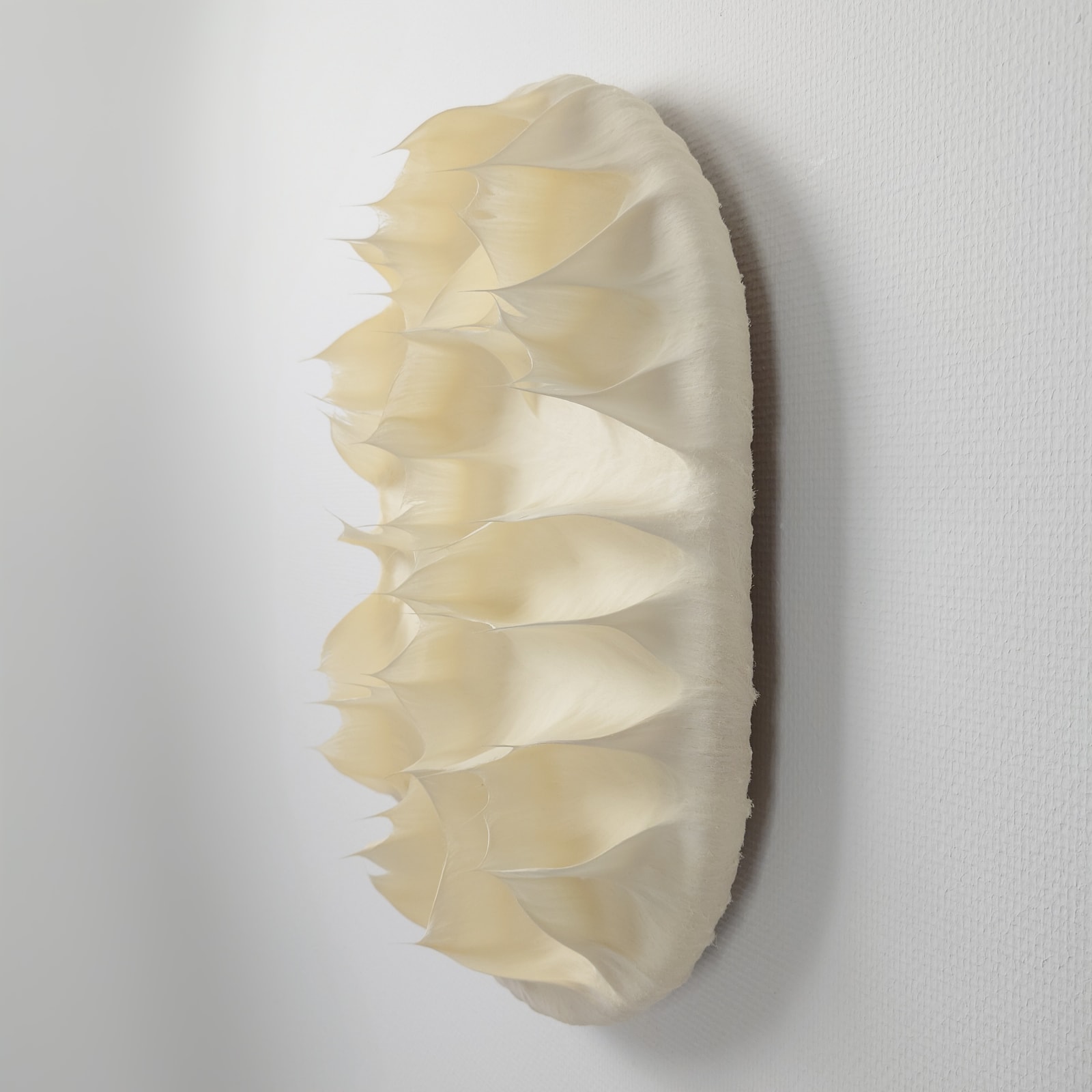 Coen Derickx, Ivory Number 2