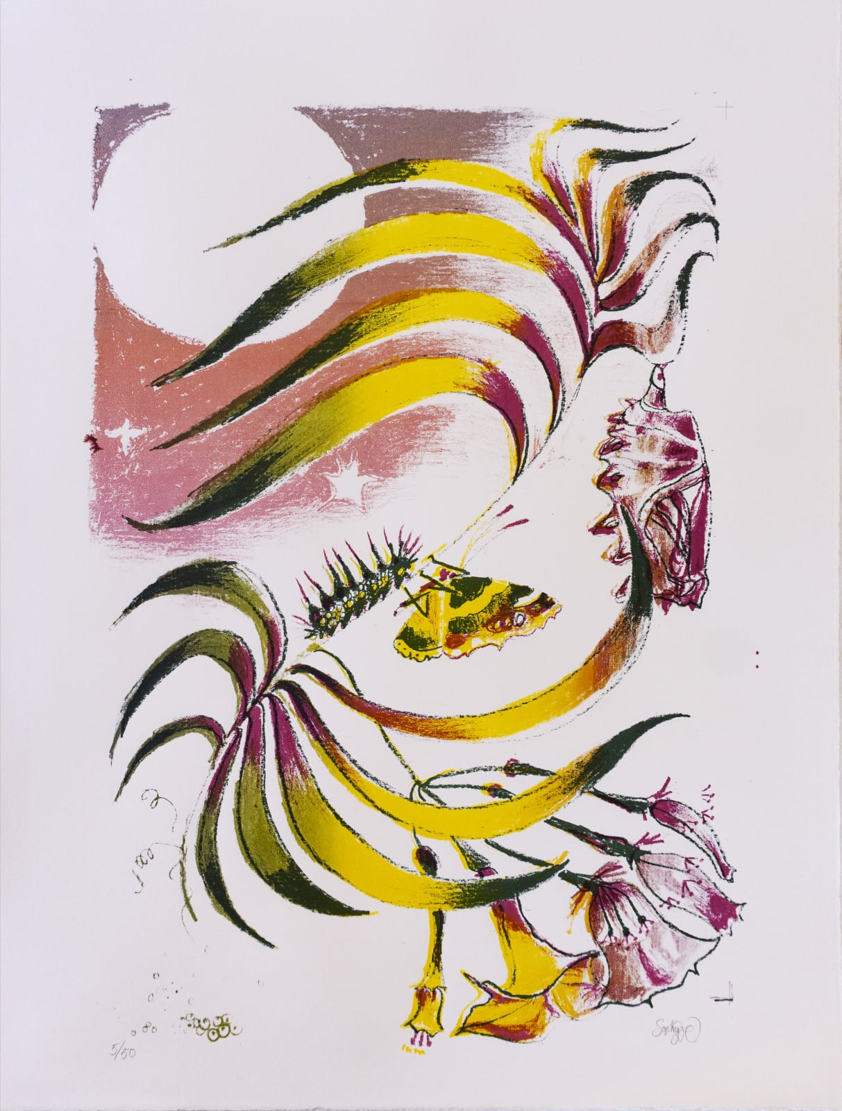 Sophie Steengracht, EDITIONS - Transfigure, 2020