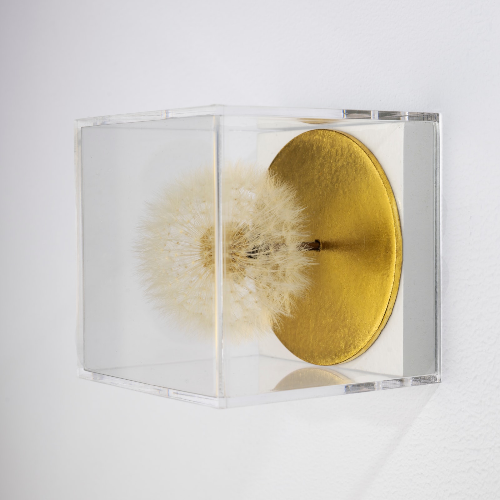 Hilde Trip, The Golden Wish