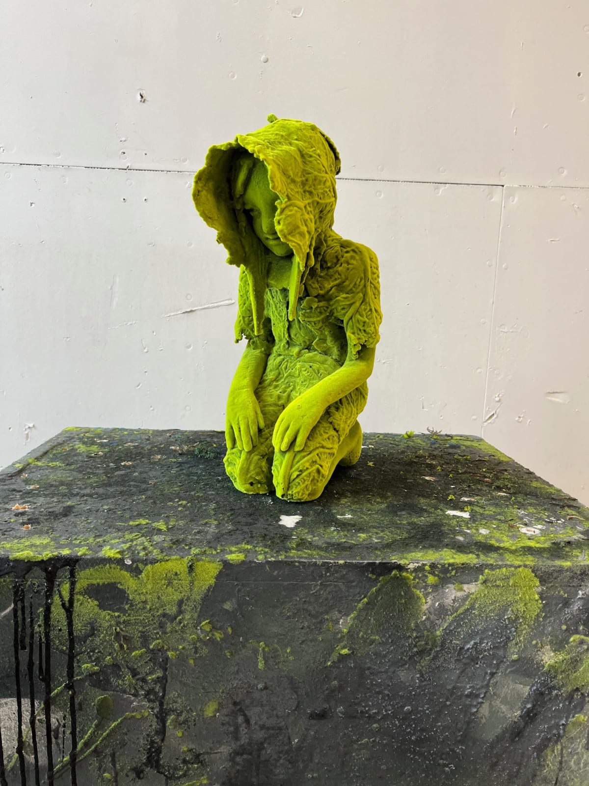 Kim Simonsson, Kneeling Cabbage Clad Mossgirl